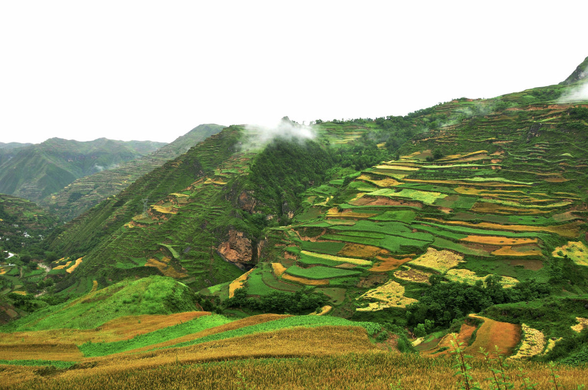 窗口期德甲焦点战，北京首钢官宣签约，话题不断，球队文化再被提及的简单介绍